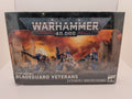 Space Marines, bladeguard veterans